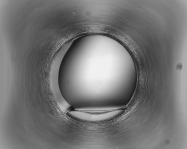 X0000098170481200805081004