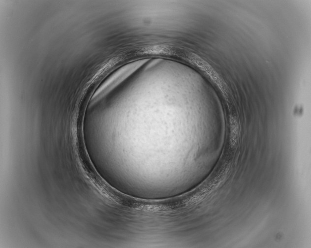 X0000098170482200805081004