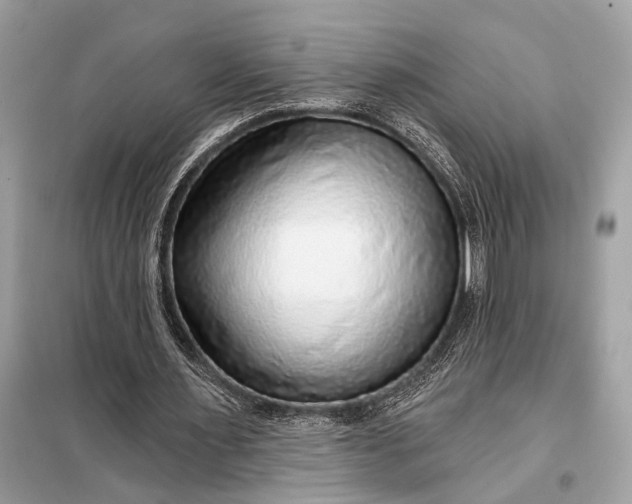 X0000098170483200805081004