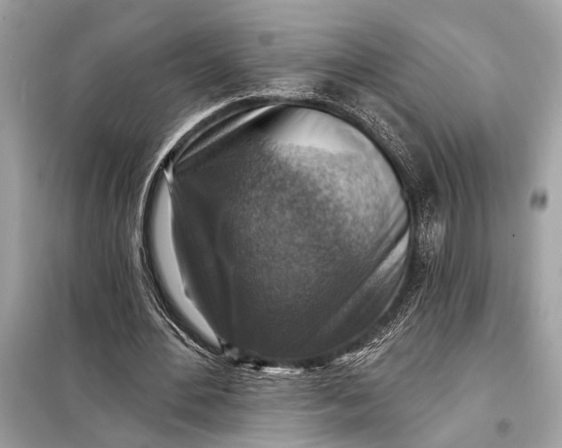 X0000098170484200805081004