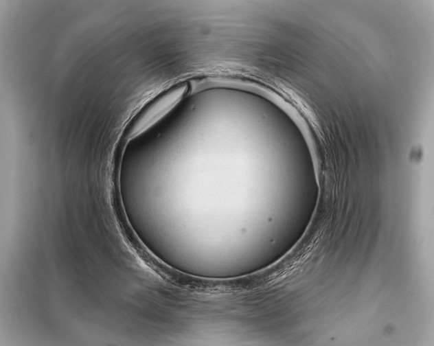 X0000098170485200805081004