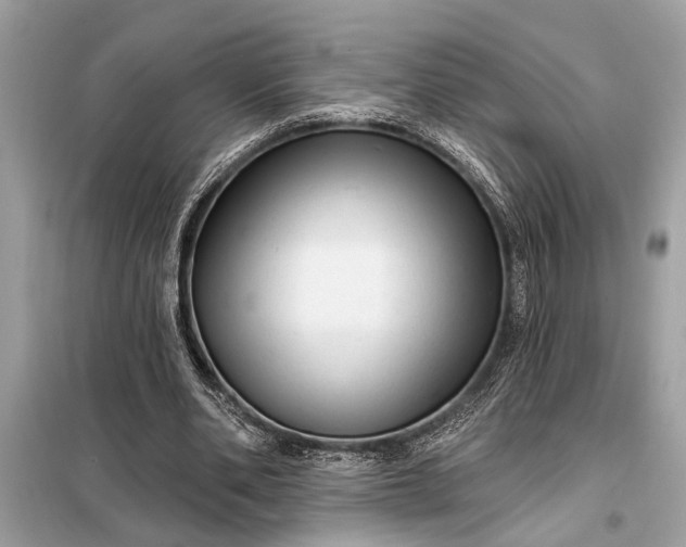 X0000098170486200805081004