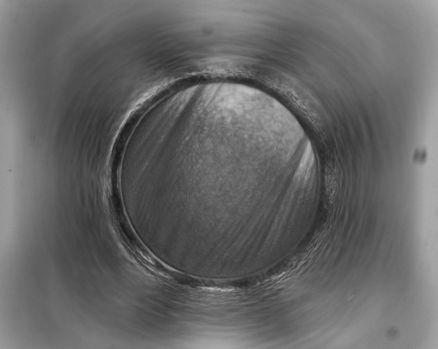 X0000098170488200805081004