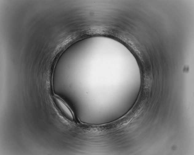 X0000098170489200805081004