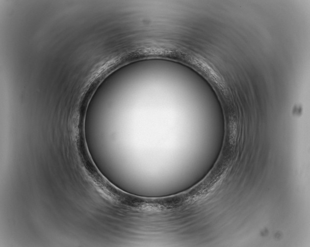 X0000098170490200805081004