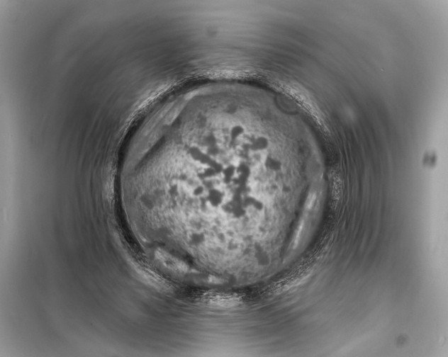 X0000098170491200805081004