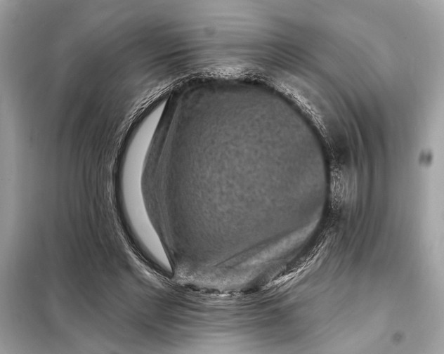 X0000098170493200805081004