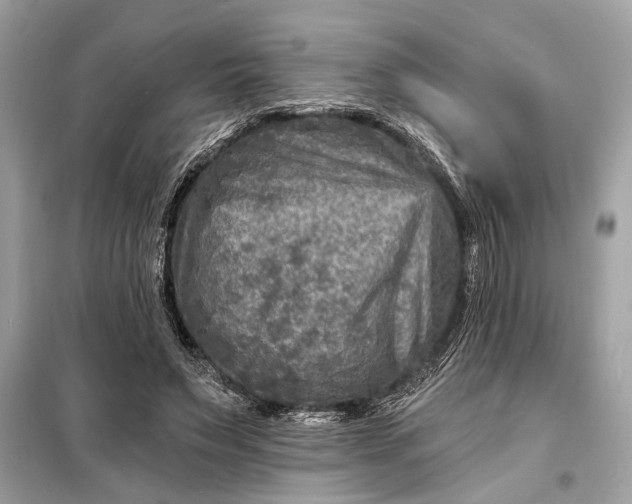 X0000098170495200805081004