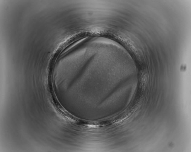 X0000098170496200805081004