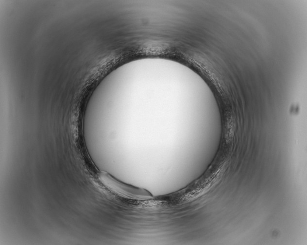 X0000098170497200805081004