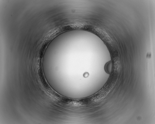 X0000098170498200805081004