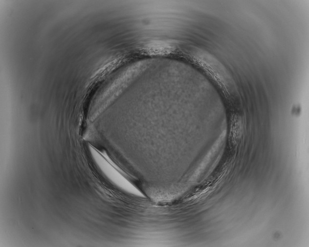 X0000098170501200805081004