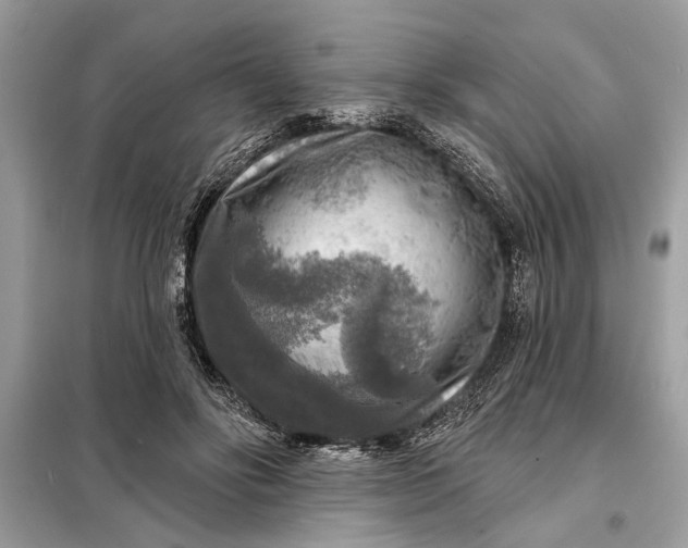 X0000098170502200805081004