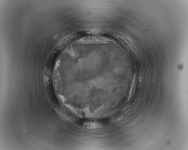 X0000098170503200805081004