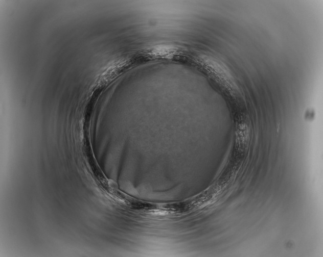 X0000098170504200805081004