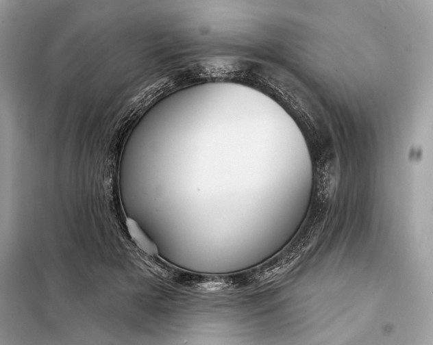 X0000098170505200805081004