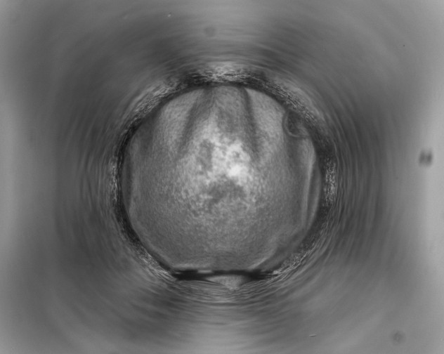 X0000098170506200805081004