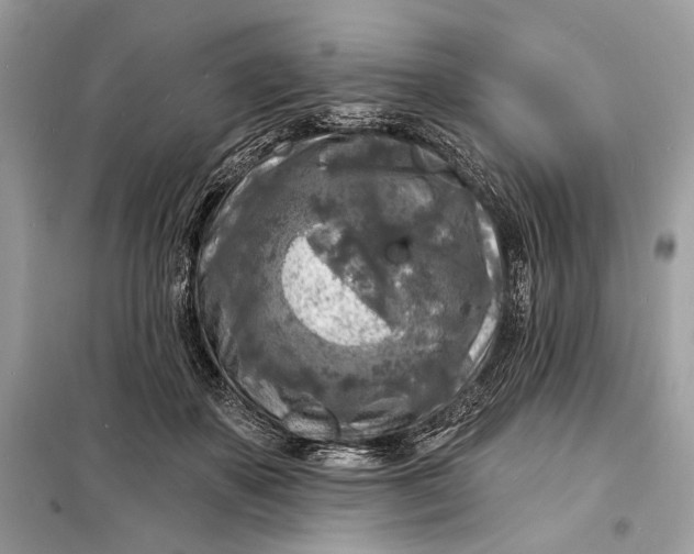 X0000098170507200805081004