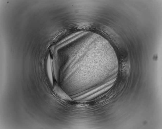 X0000098170508200805081004