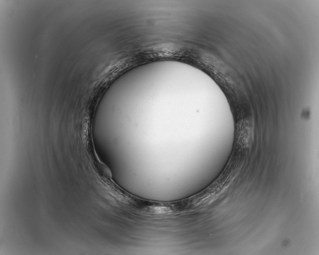 X0000098170509200805081004