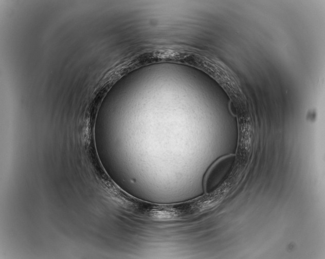 X0000098170510200805081004