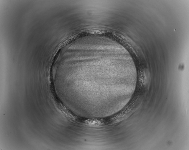 X0000098170512200805081004