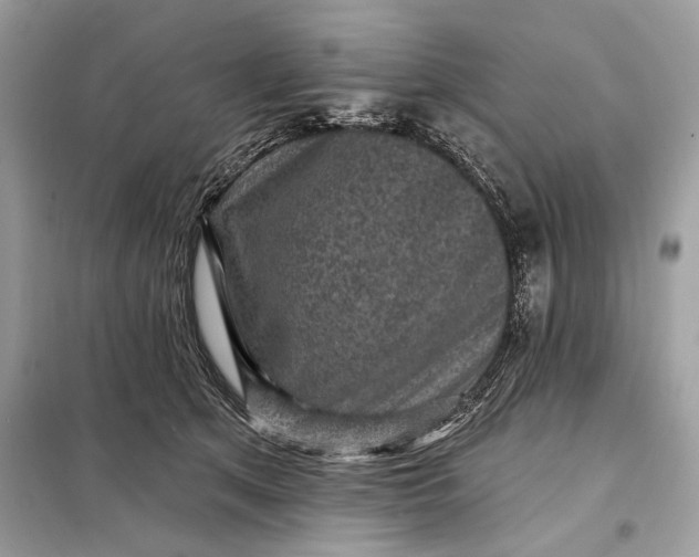 X0000098170513200805081004