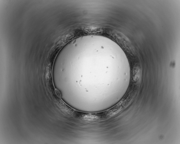 X0000098170515200805081004