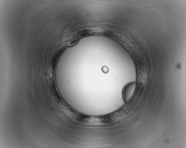 X0000098170518200805081004