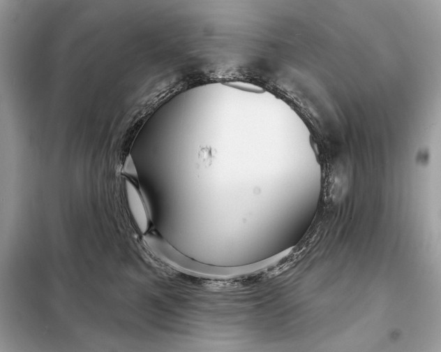 X0000098170521200805081004