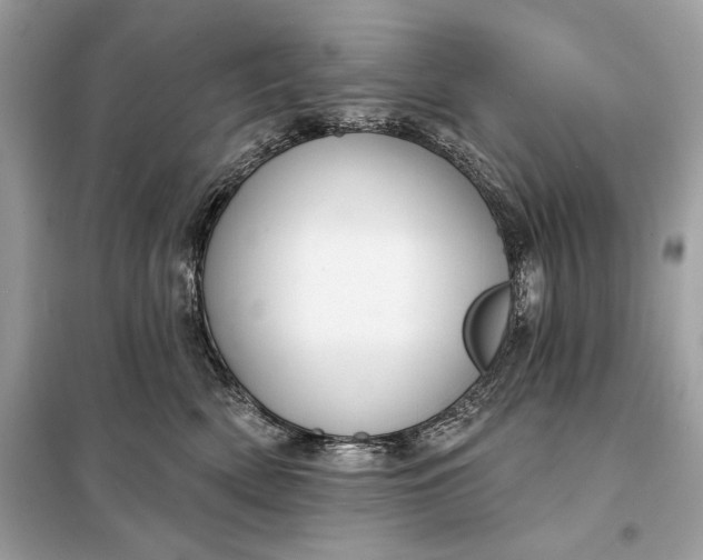 X0000098170522200805081004