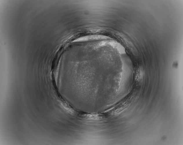 X0000098170524200805081004