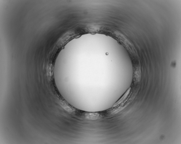 X0000098170525200805081004