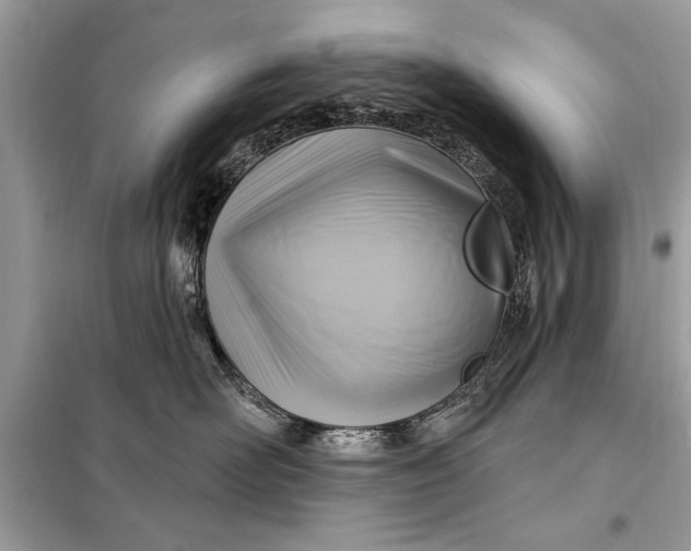 X0000098170526200805081004