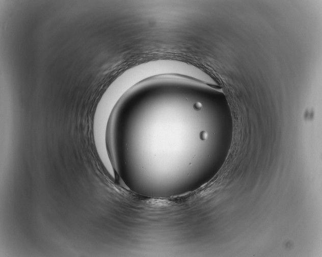 X0000098170528200805081004