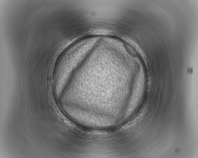 X0000098170529200805081003