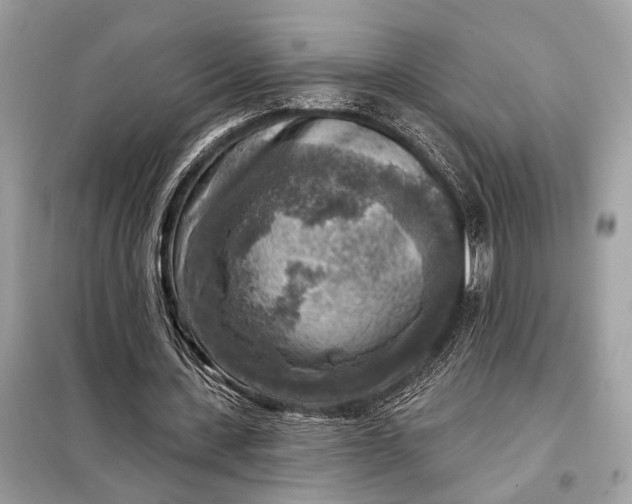 X0000098170531200805081003