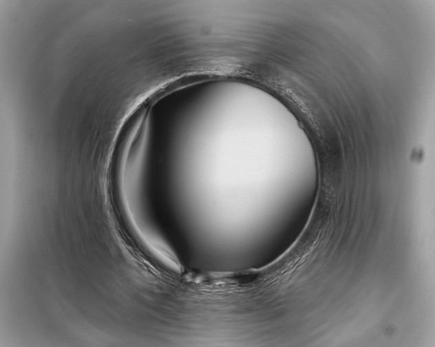 X0000098170532200805081003