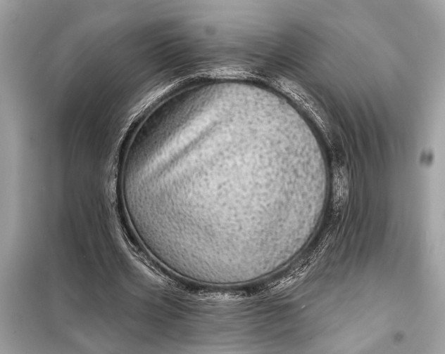 X0000098170533200805081003