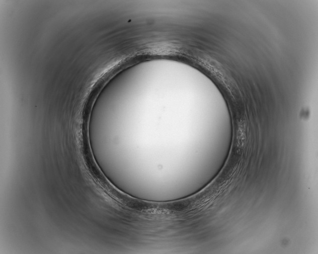 X0000098170535200805081003