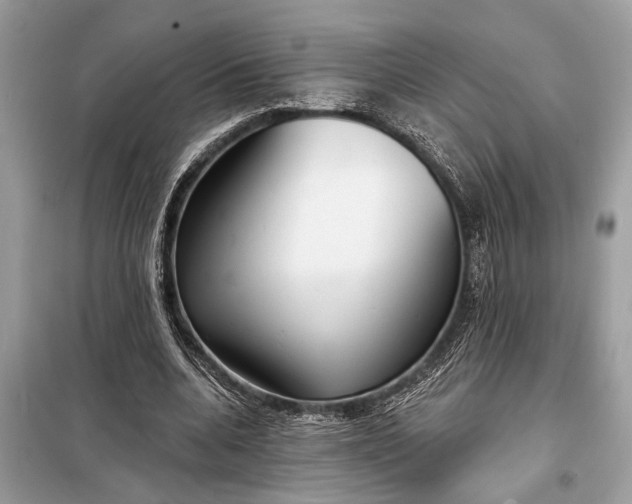 X0000098170536200805081003