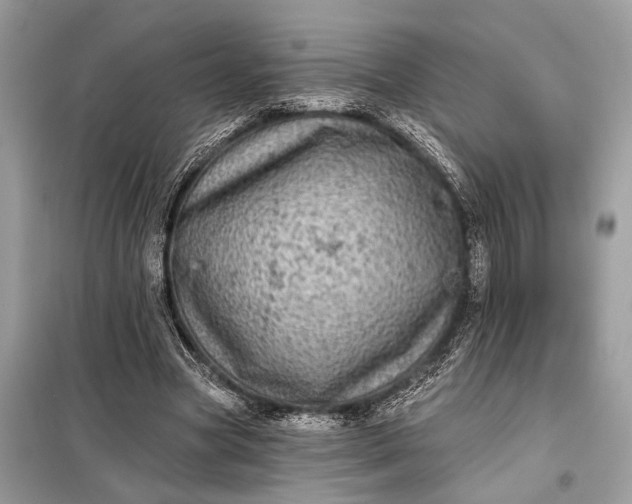 X0000098170537200805081003