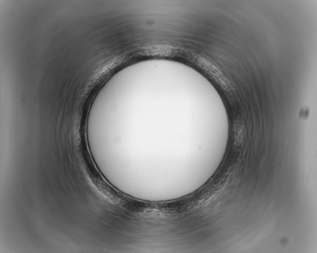 X0000098170538200805081003