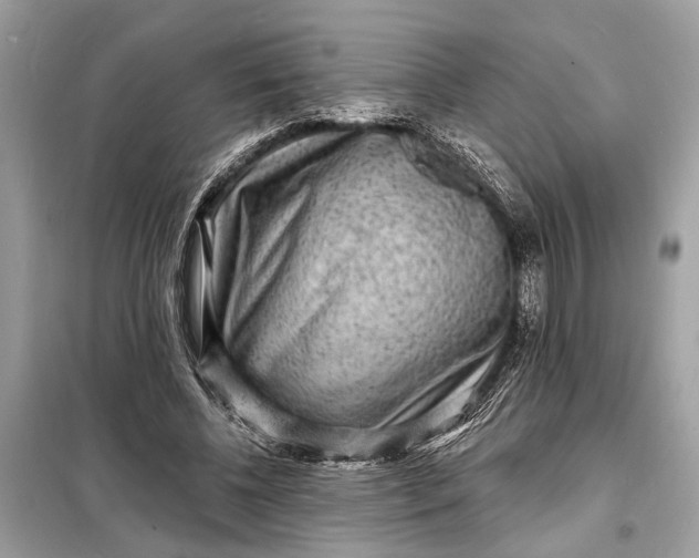 X0000098170540200805081003