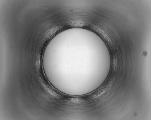 X0000098170541200805081003