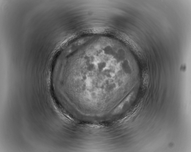 X0000098170542200805081003