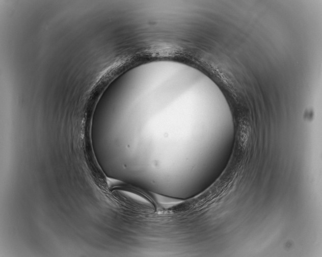 X0000098170543200805081003