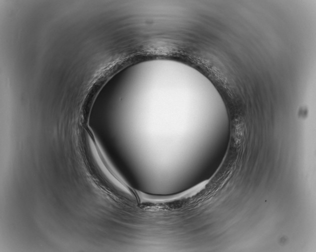 X0000098170544200805081003