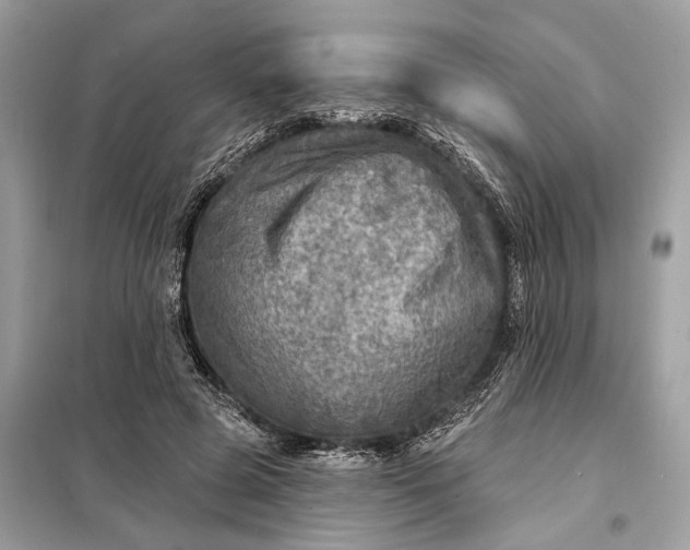 X0000098170545200805081003