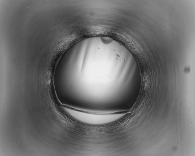 X0000098170546200805081003